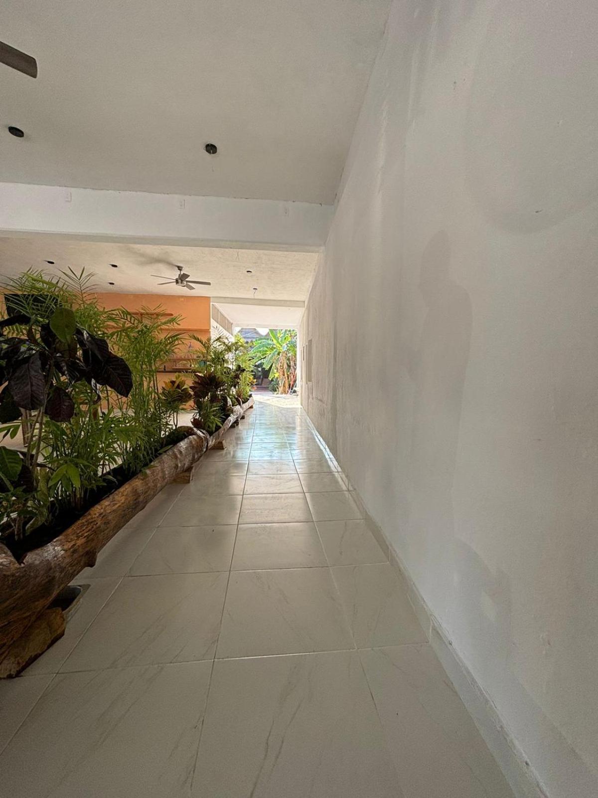 Lura Bacalar Apartment Exterior foto